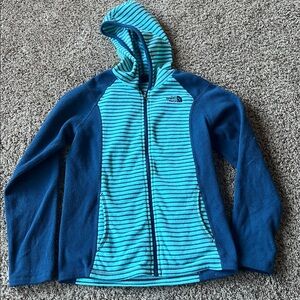 The North Face Blue and Aqua Striped Hoodie